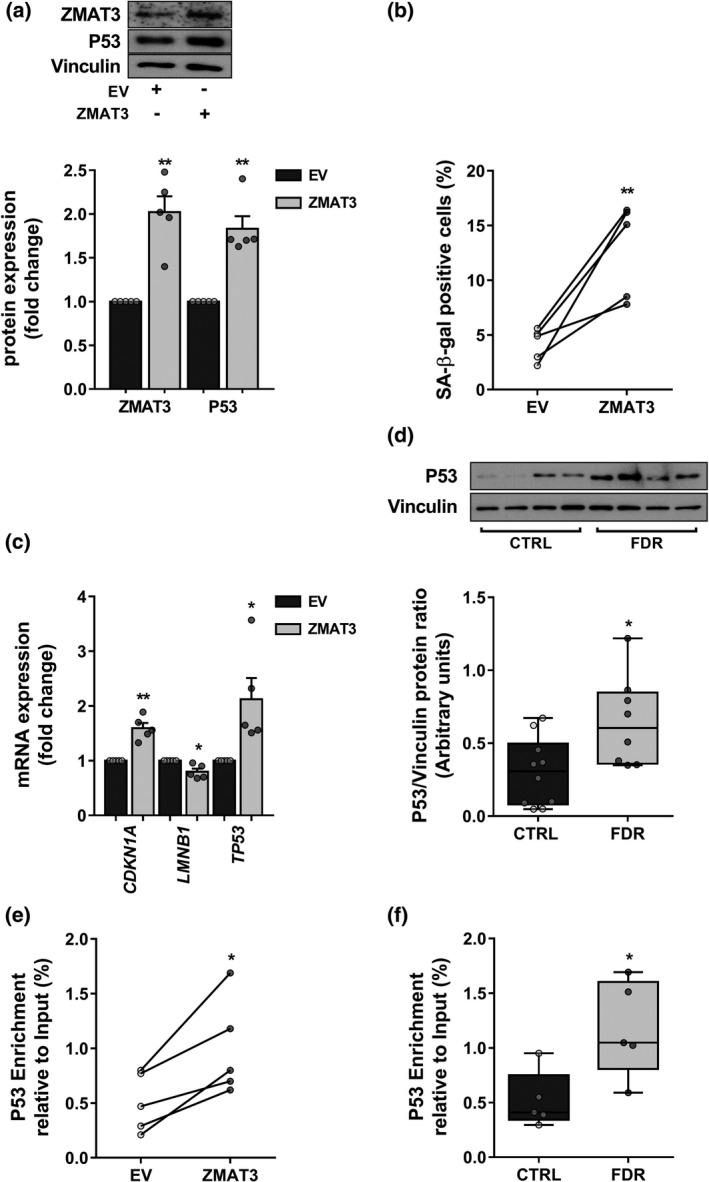 FIGURE 3