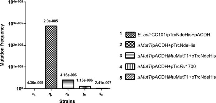 FIGURE 6.