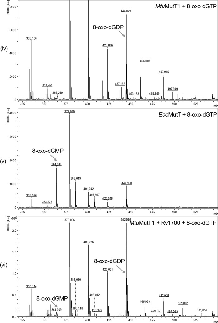 FIGURE 3.