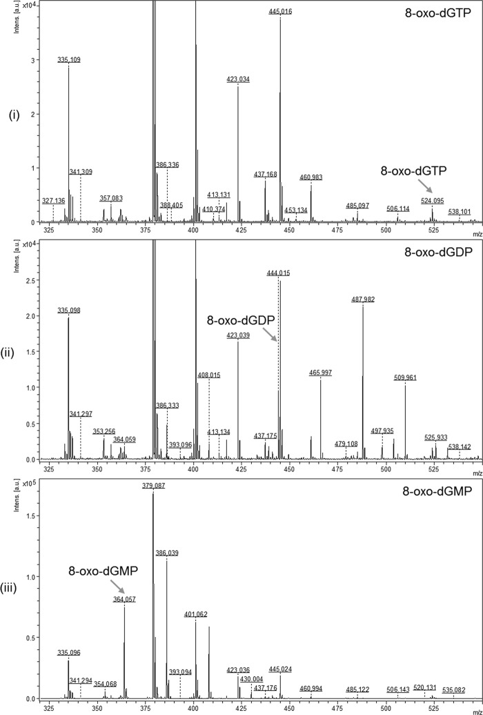 FIGURE 3.