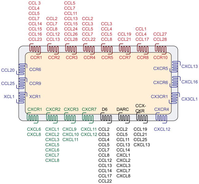 Box 1 Figure I