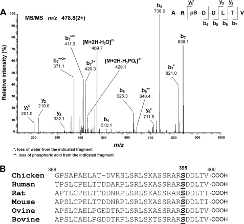 FIGURE 1.