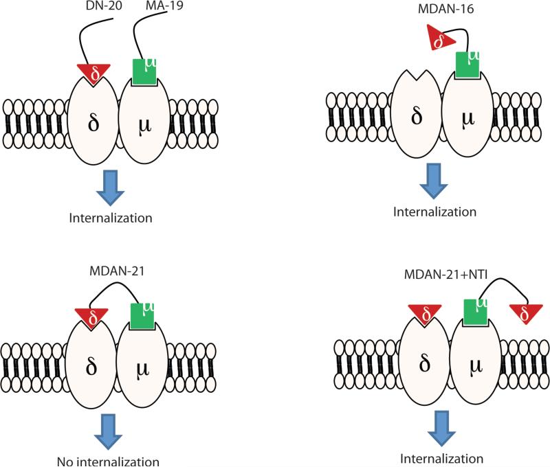 Fig 4