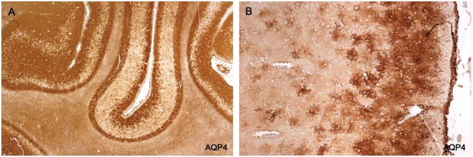 FIGURE 17.