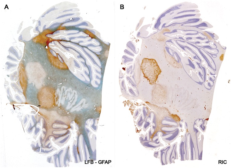 FIGURE 13.