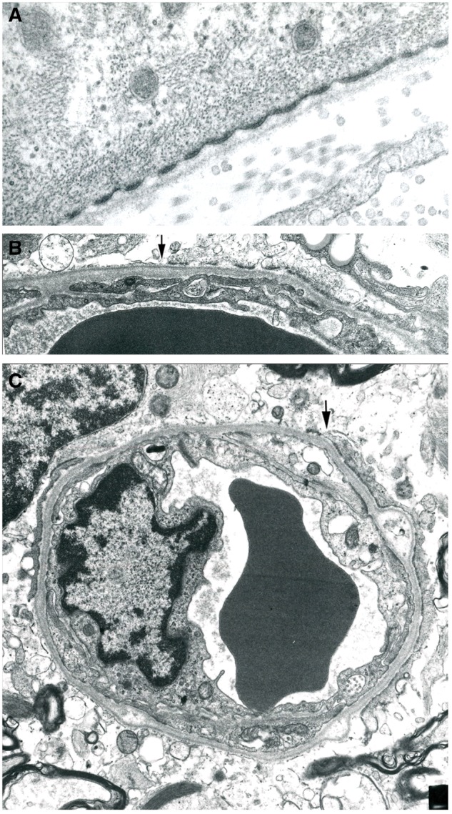 FIGURE 15.