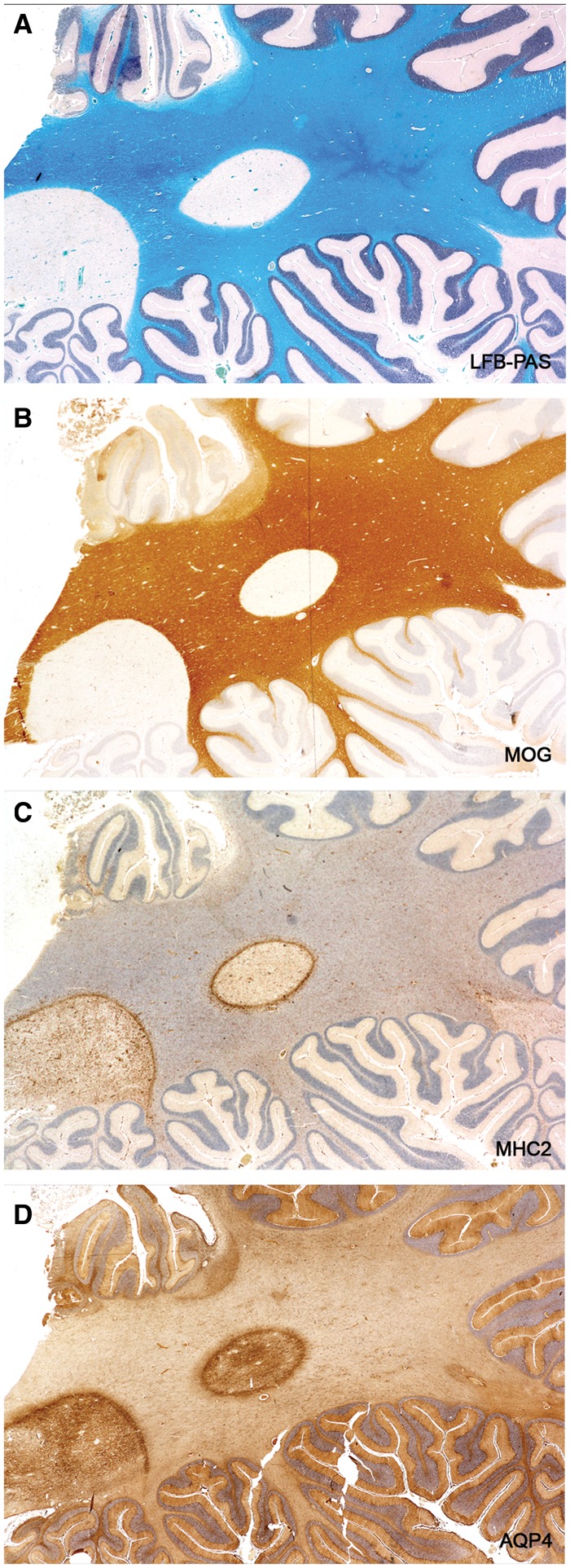 FIGURE 12.