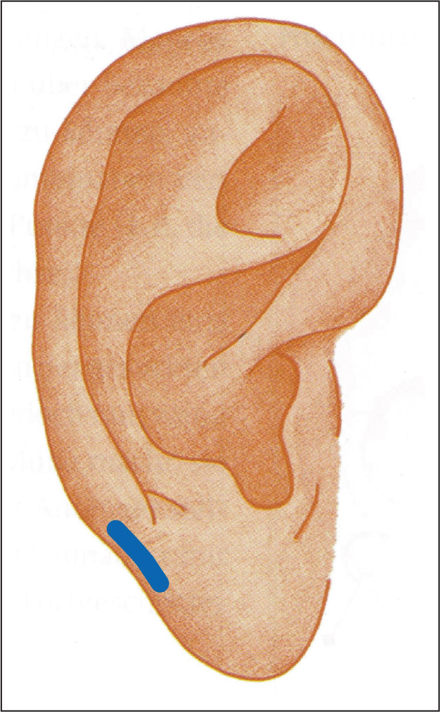 graphic file with name 15009_2021_5713_Fig5_HTML.jpg