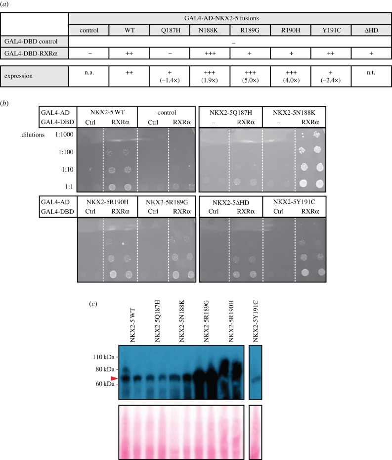 Figure 5.