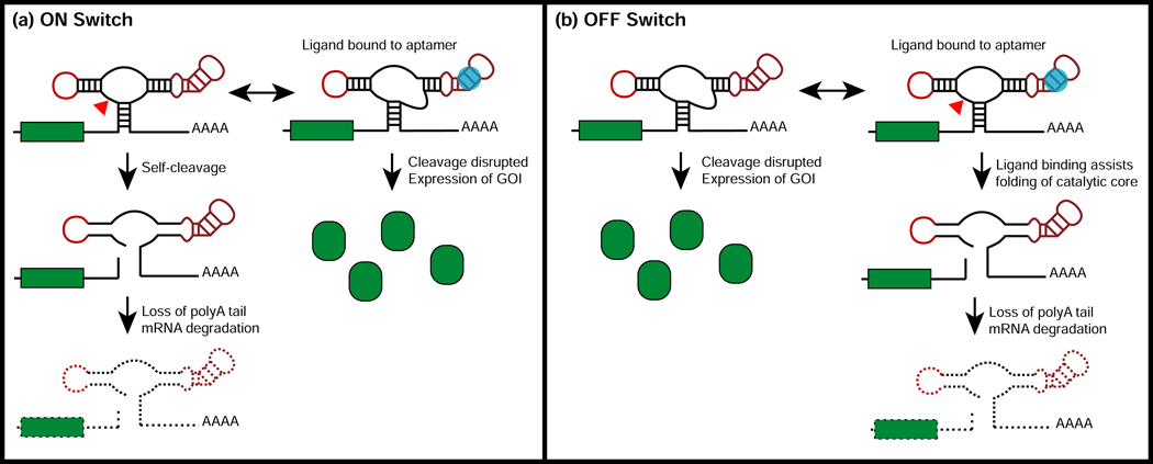 Figure 2: