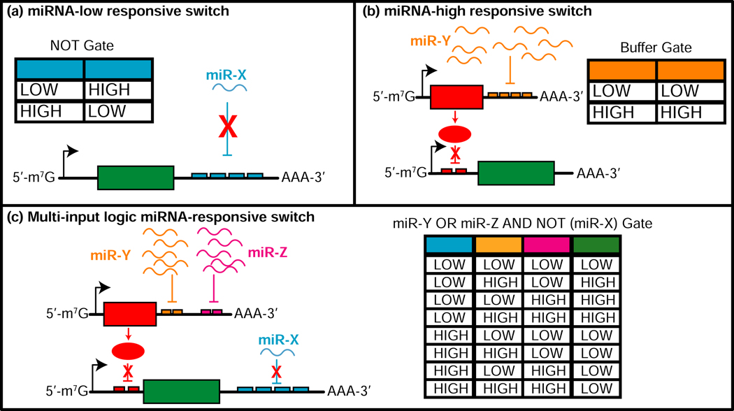 Figure 3: