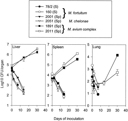 FIG. 3.