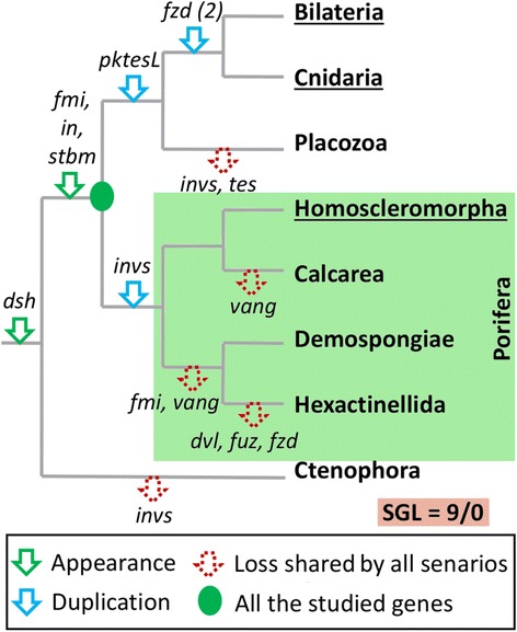 Fig. 9