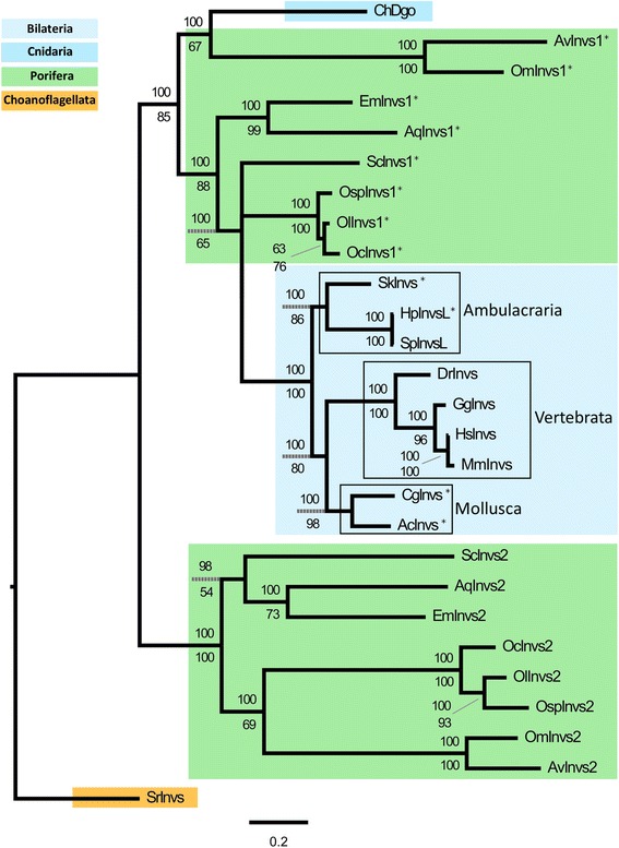 Fig. 5