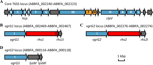 FIG 1