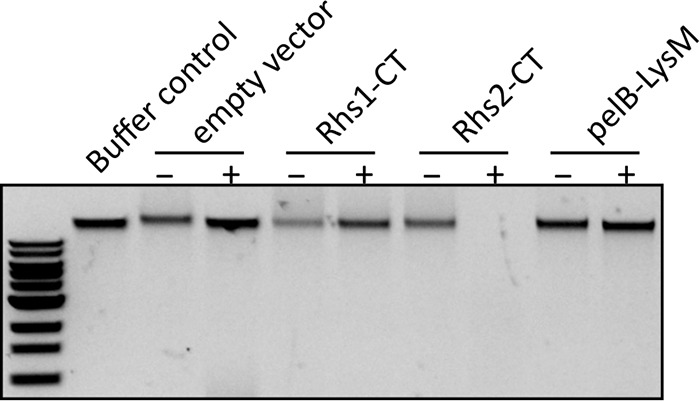 FIG 6