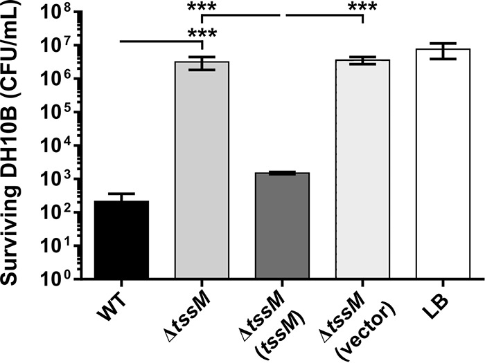 FIG 3