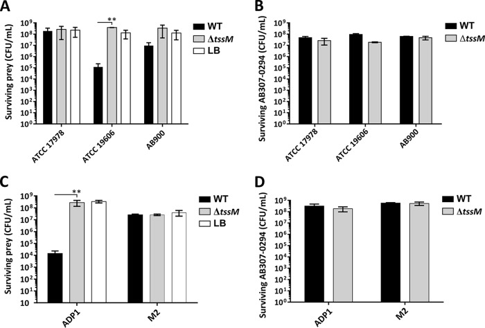 FIG 4