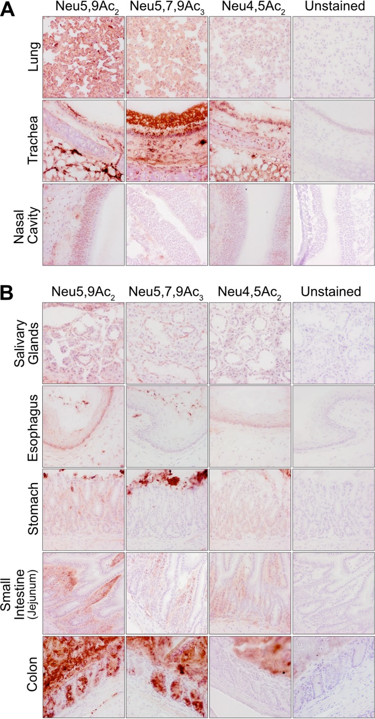 FIG 2