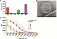 FIG 6