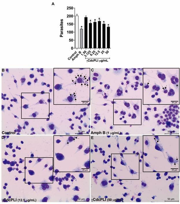 Fig. 4: