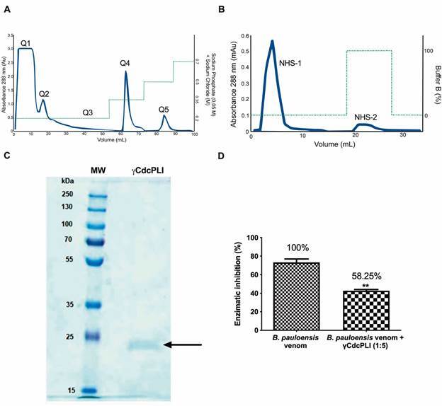 Fig. 1: