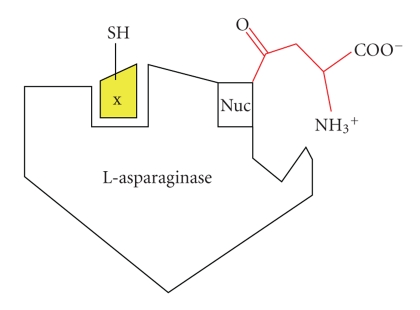 Scheme 2