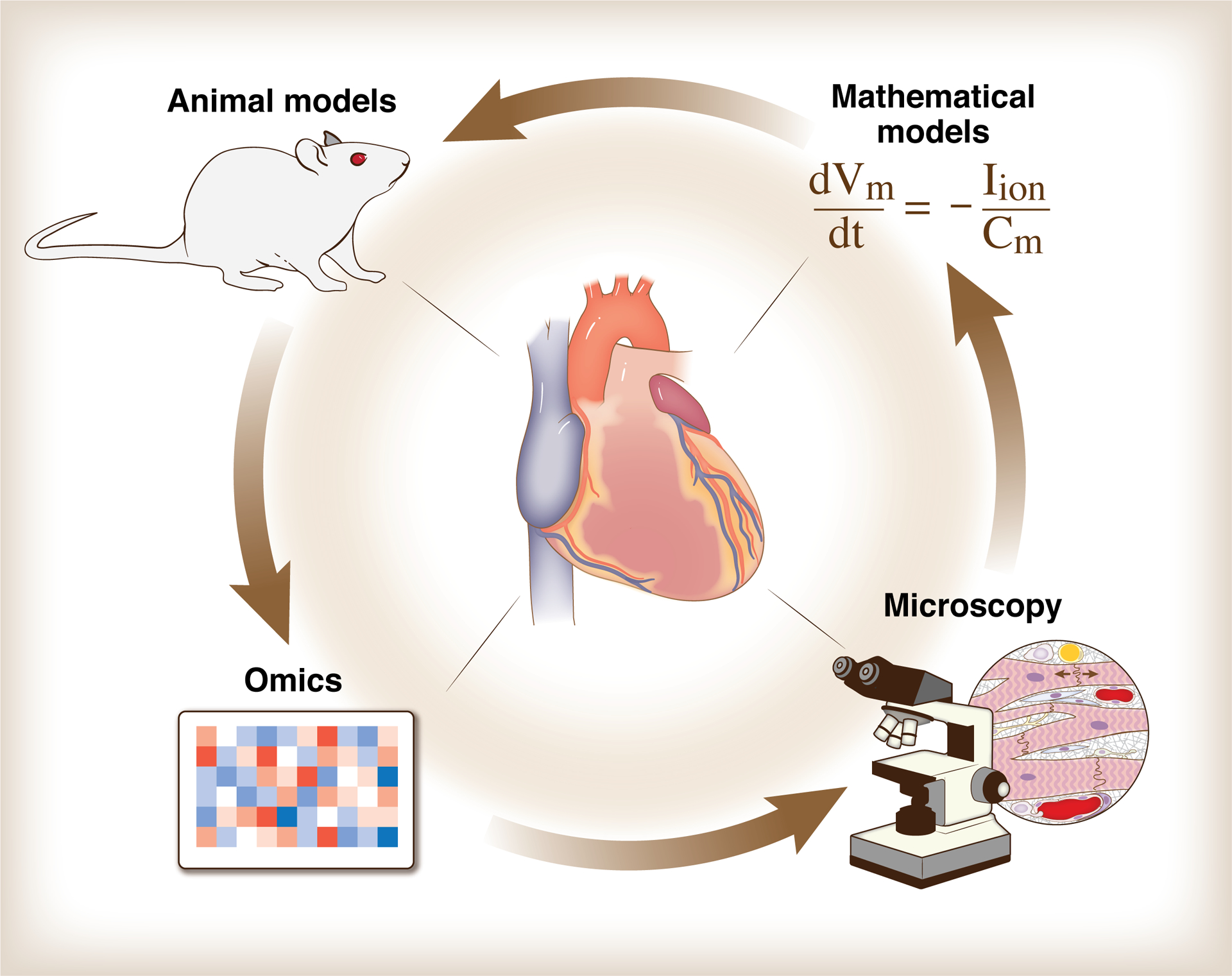 Figure 5: