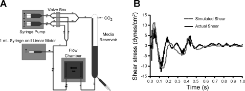 Fig. 1.