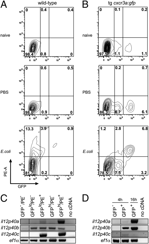 Fig. 4.