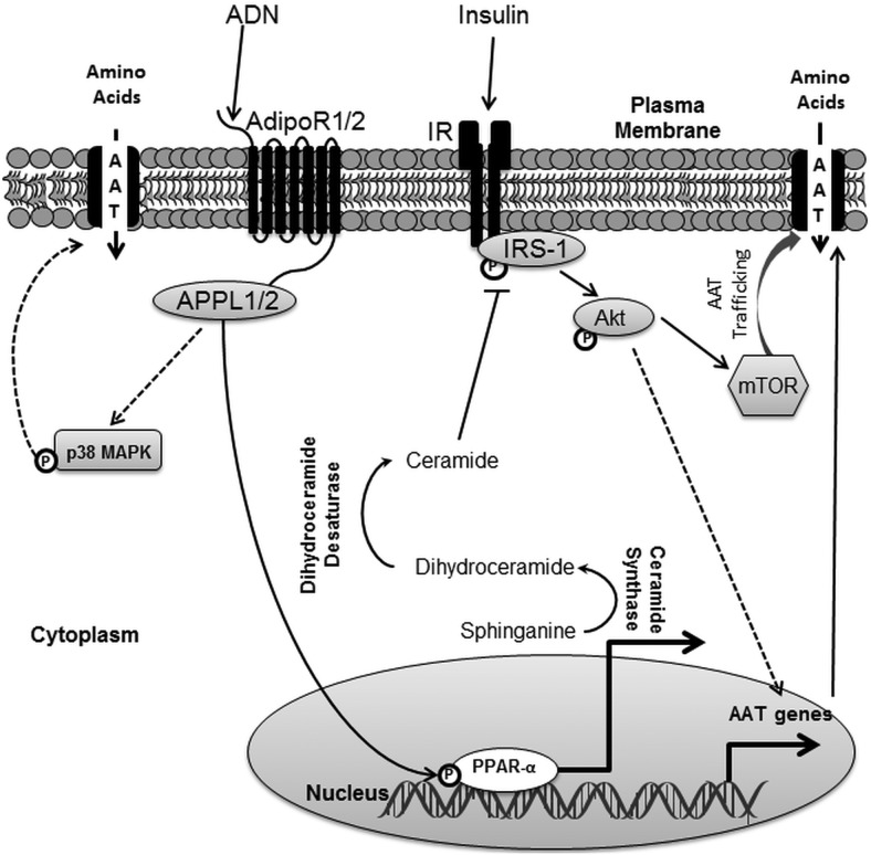 Figure 7.