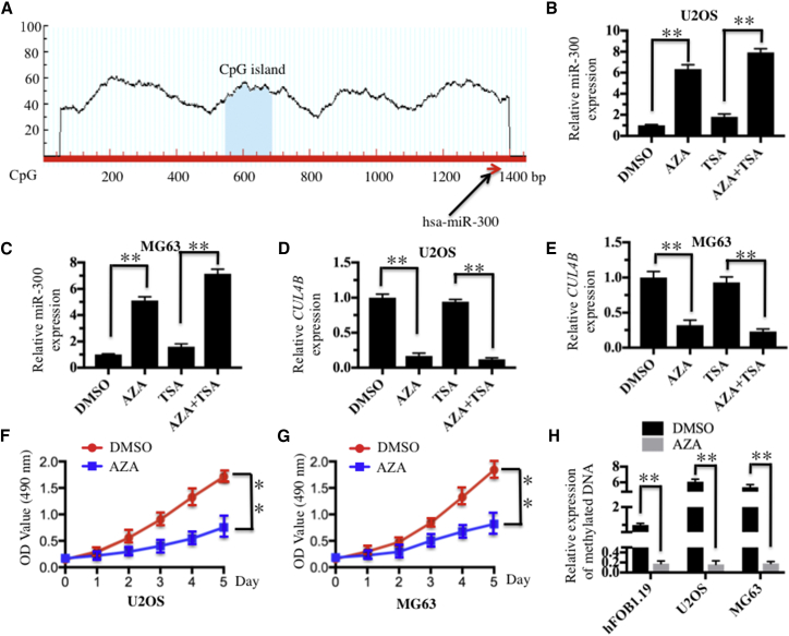 Figure 6