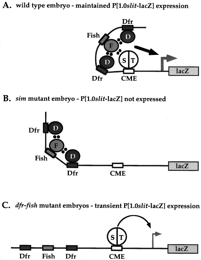 Fig. 8.