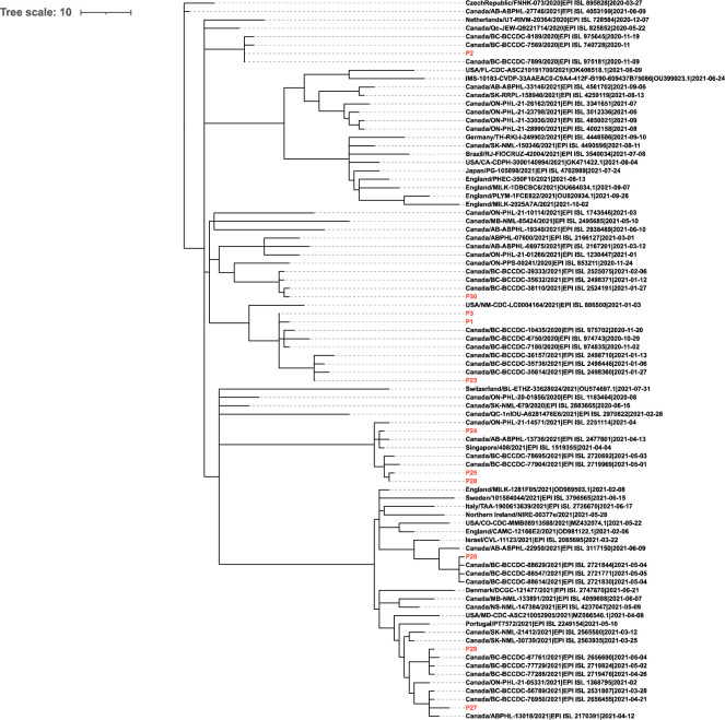 Fig 4