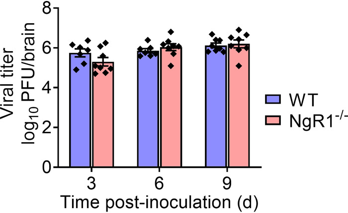 FIG 5