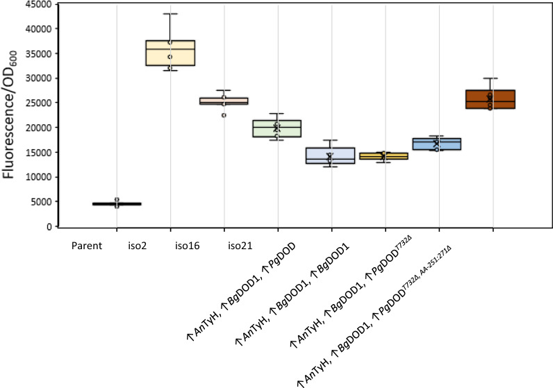 Fig. 3