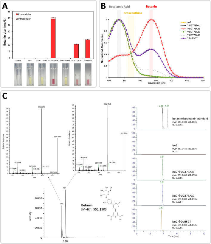 Fig. 4