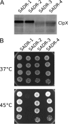 FIG 3