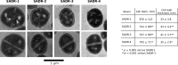FIG 2