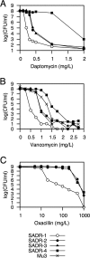 FIG 1