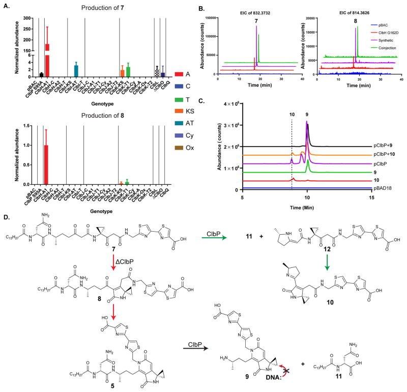 Figure 4