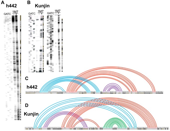 FIGURE 4.