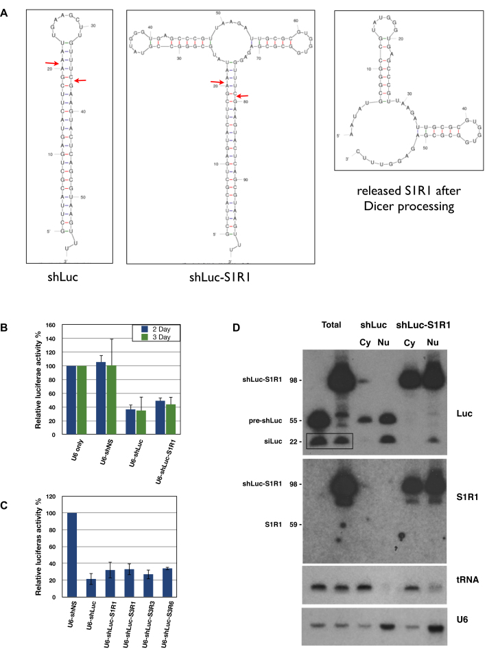 Figure 4.