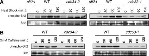 Figure 2.—