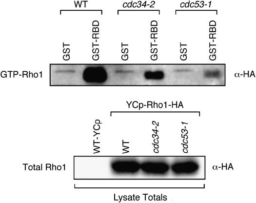 Figure 4.—