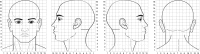 Fig. 1