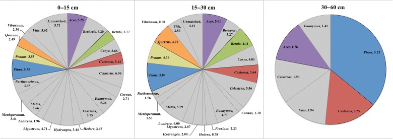 Figure 5.