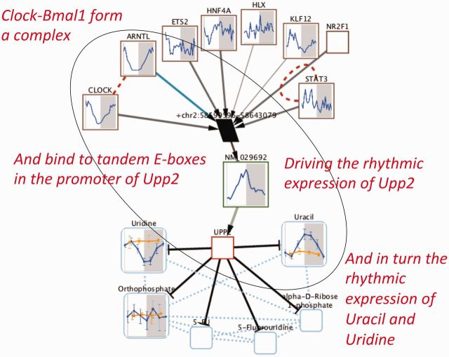 Fig. 4.