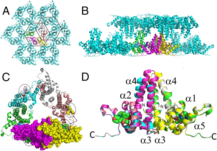 Fig. 2.