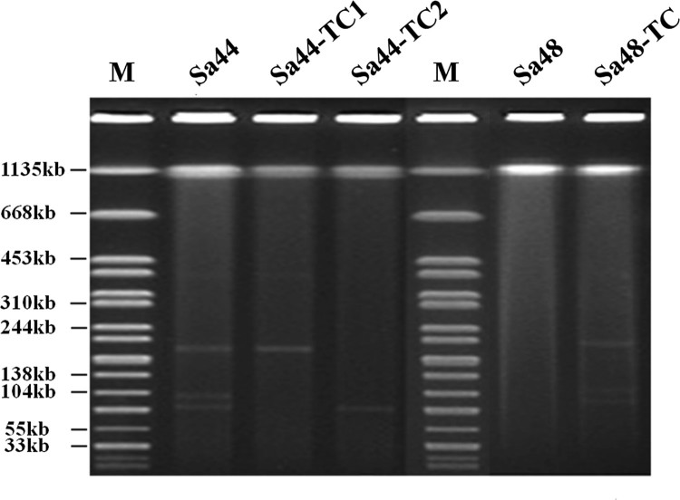 Figure 1.